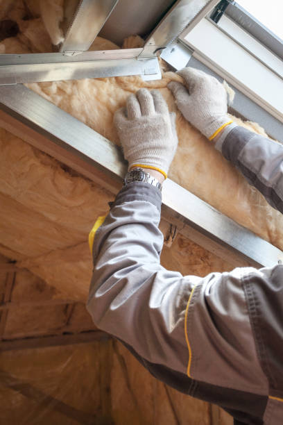 Best Types of Insulation in Moose Lake, MN