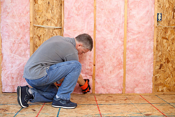 Best Insulation Installation Services in Moose Lake, MN